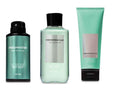 Bath & Body Works Freshwater: 2-in-1 Hair & Body Wash, Deodorizing Spray & Ultra Shea Cream for Him