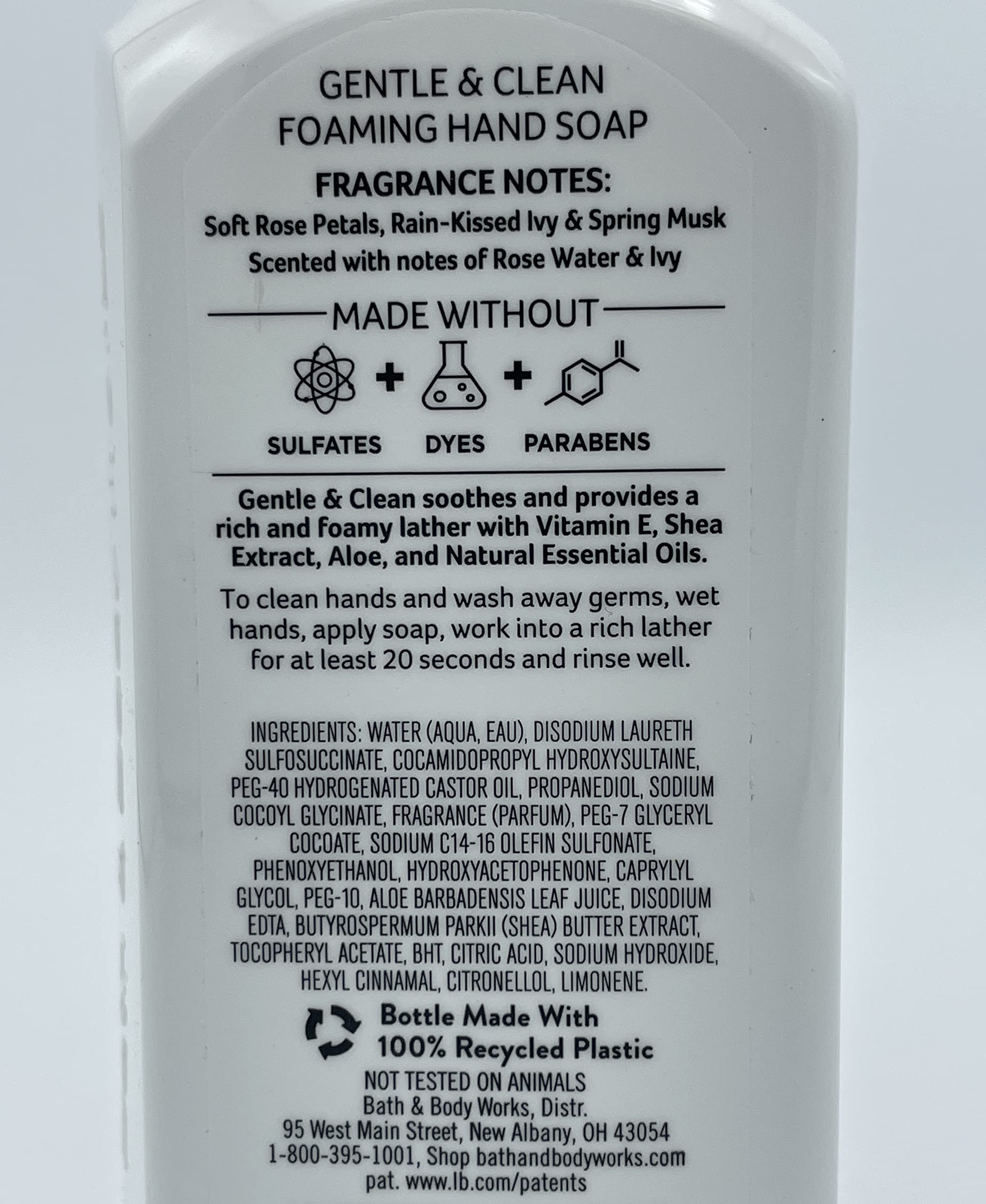 Bath & Body Works Gentle & Clean Foaming Hand Soap – Rose Water & Ivy, 2-Pack (8.75 fl oz each)