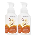 Bath & Body Works Gentle Foaming Hand Soap – Warm Vanilla Sugar, 8.75 oz (2-Pack)