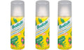 Batiste Dry Shampoo Tropical 1.6 oz – Pack of 3 | Instant Hair Refresh
