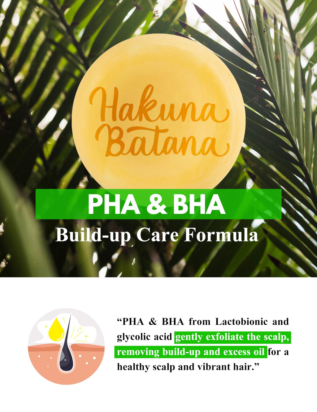 Beauté Seoul Batana Oil Shampoo Bar – Cold-Pressed Batana Oil, PHA Exfoliation, Sulfate-Free, pH-Balanced