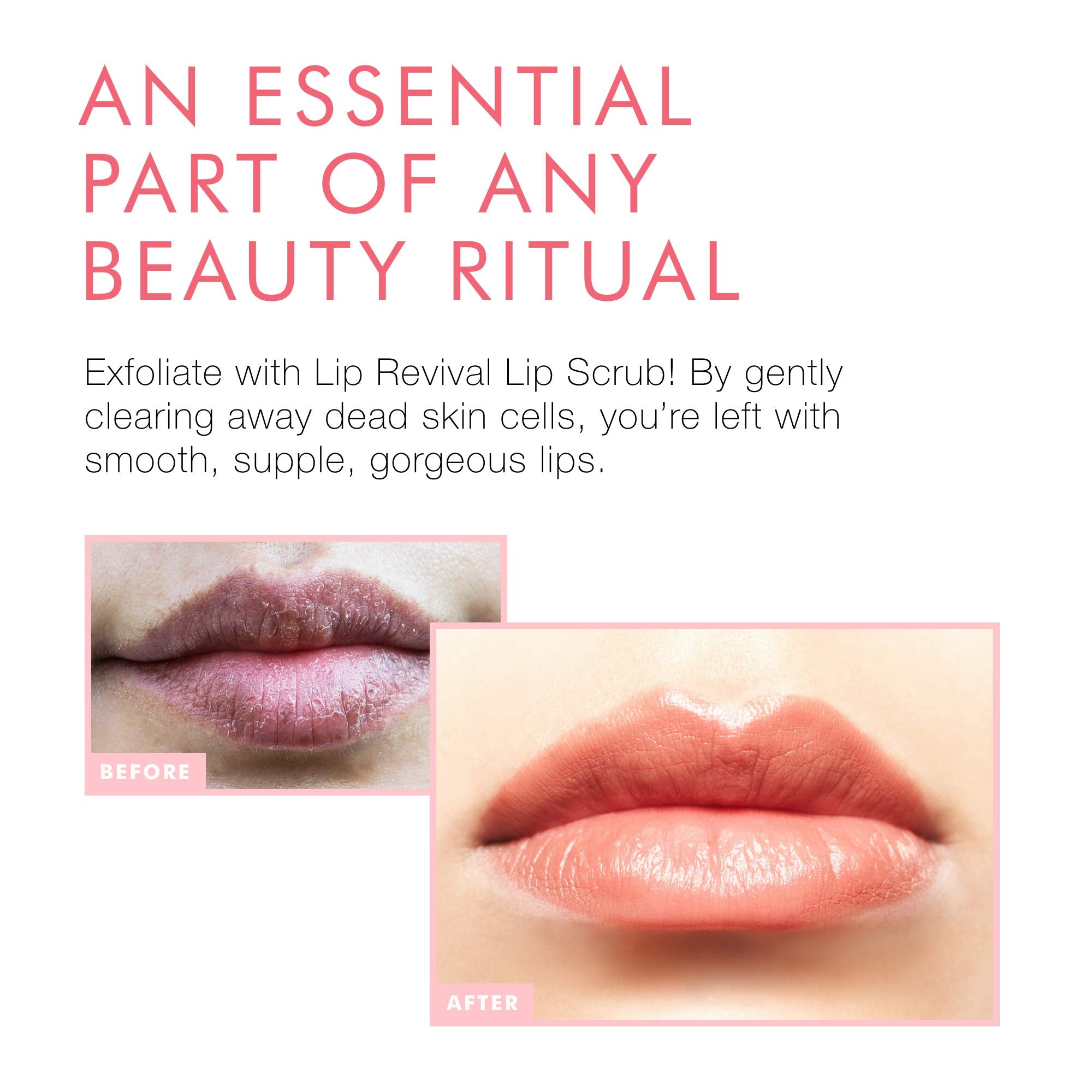 Beauty For Real Lip Revival Set of 2 – Exfoliating Sugar Lip Scrub in Orange Spice & Spearmint | Organic, Vegan, Cruelty-Free