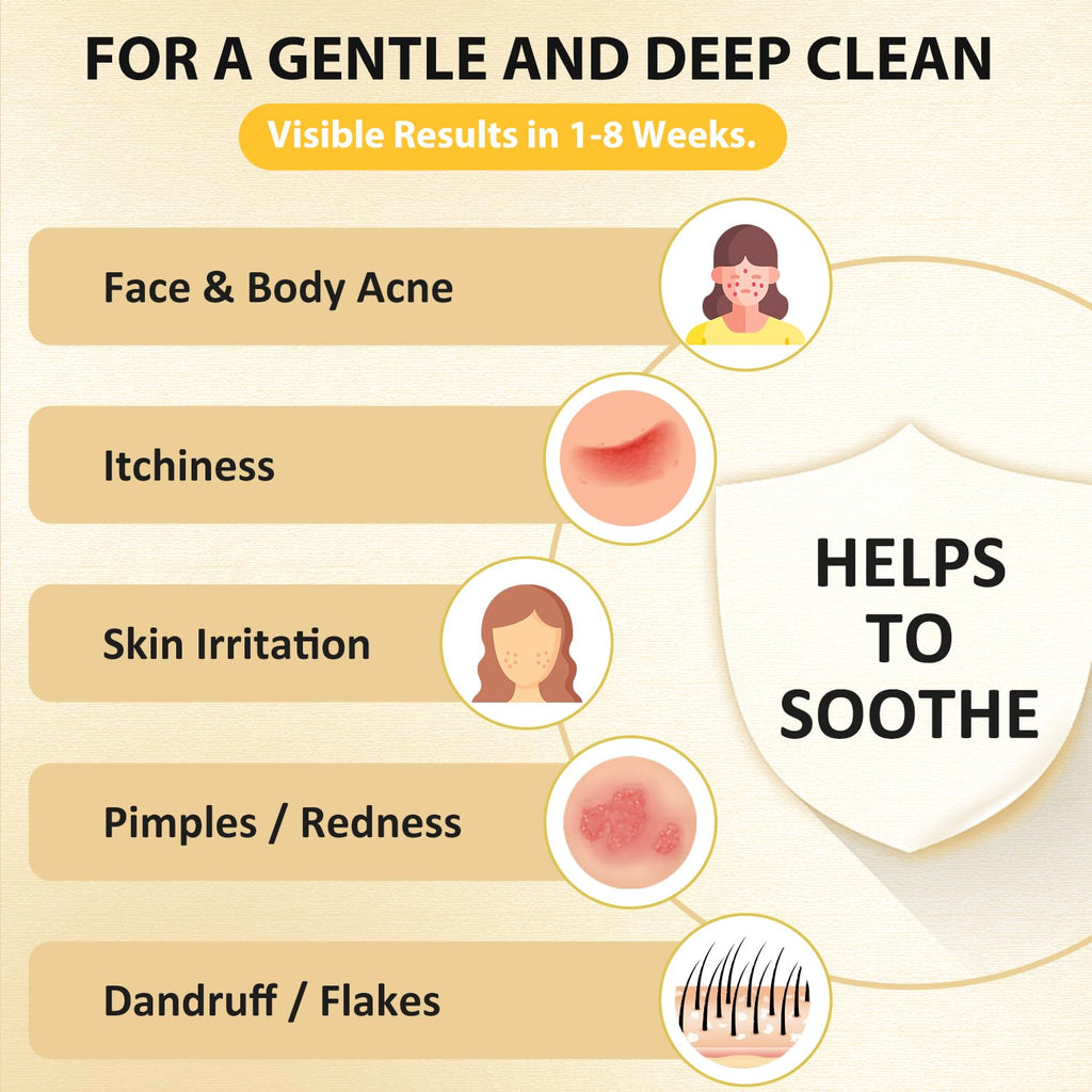 Bee & Flower Sulfur Soap Liquid Shampoo & Body Wash – 16.8 oz – Daily Head-to-Toe Cleanse for Him & Her – Valentine Gift