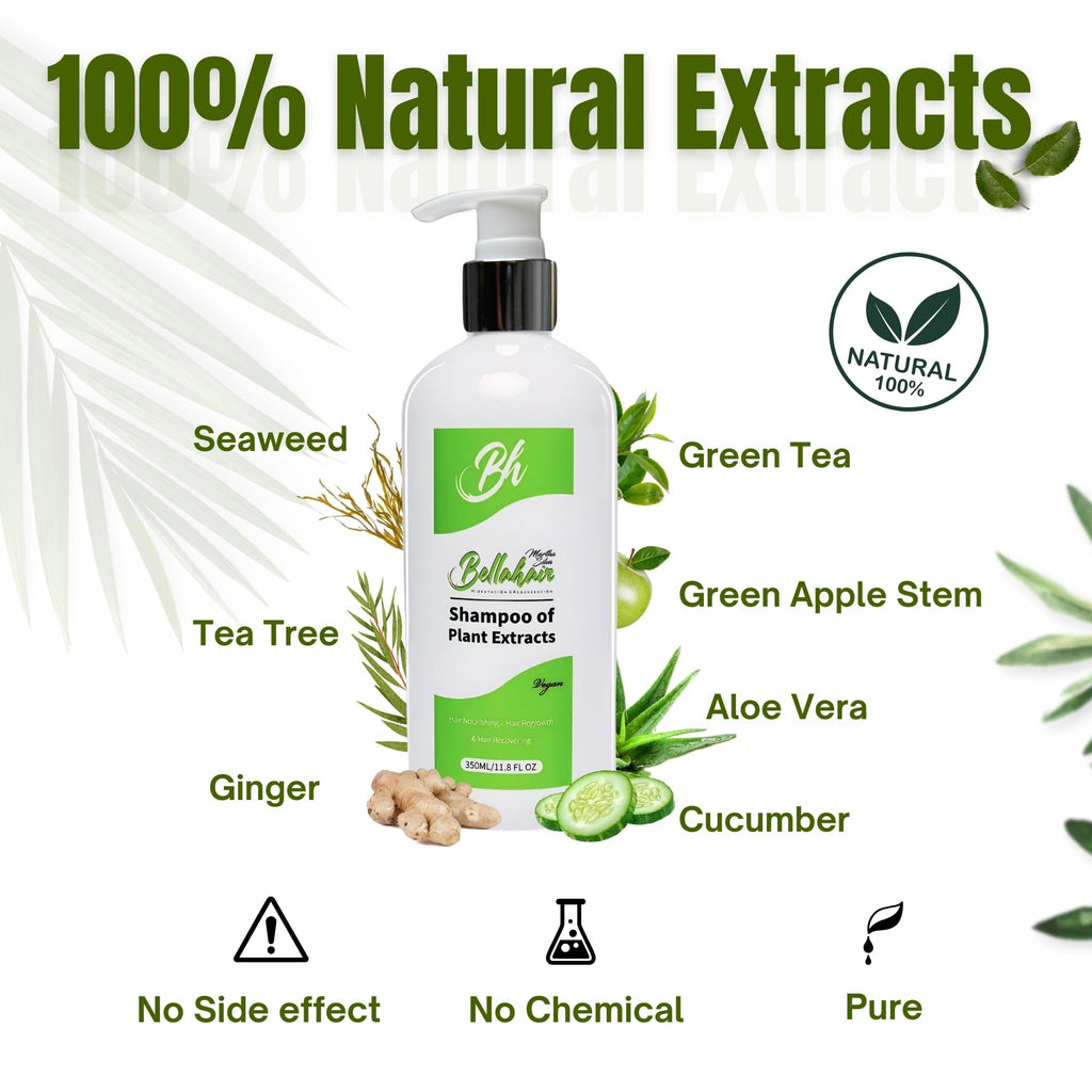 Bellahair Organic Tea Tree Shampoo | Sulfate-Free for Curly, Thinning & Color-Treated Hair