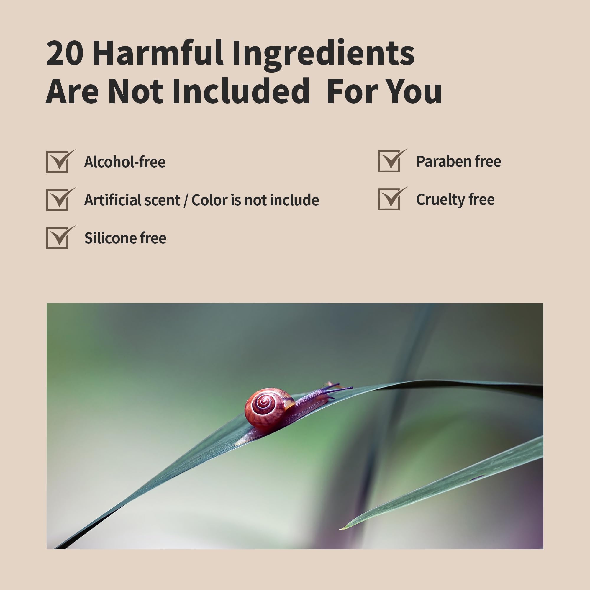 BENTON Snail Bee High Content Lotion 120ml | Hydration with Snail Mucin & Bee Venom