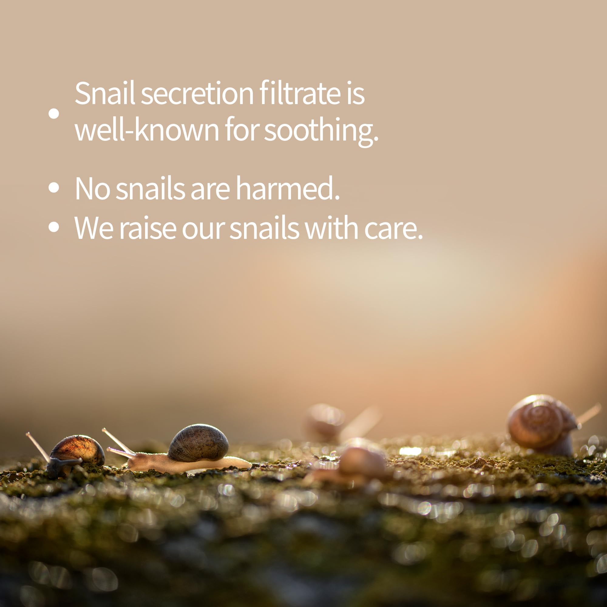 BENTON Snail Bee High Content Mask Pack (20g / 10 Sheets) – Hydrating & Soothing Facial Masks