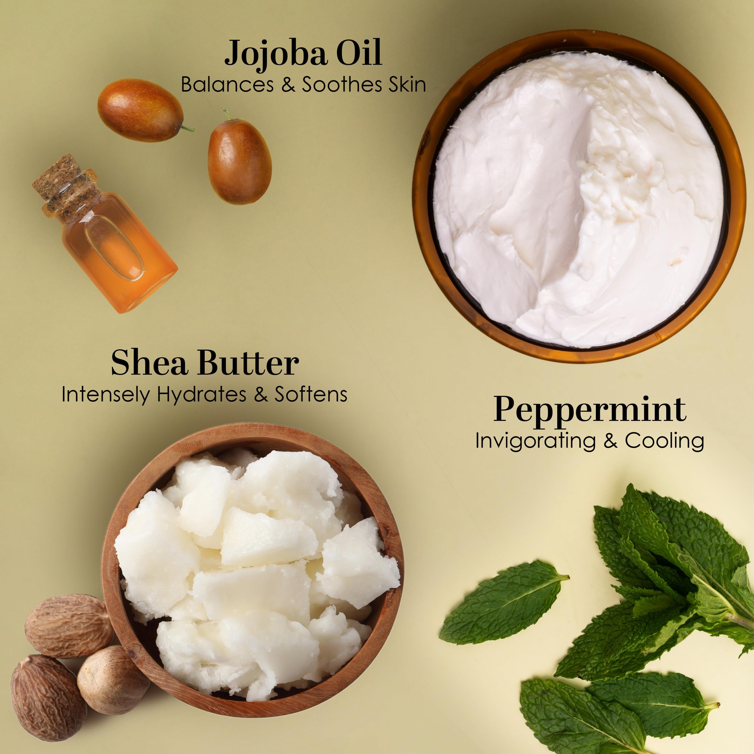 Better Shea Butter Peppermint Body Lotion – Lightweight, Non-Greasy Moisturizer for All Skin Types | 8 oz