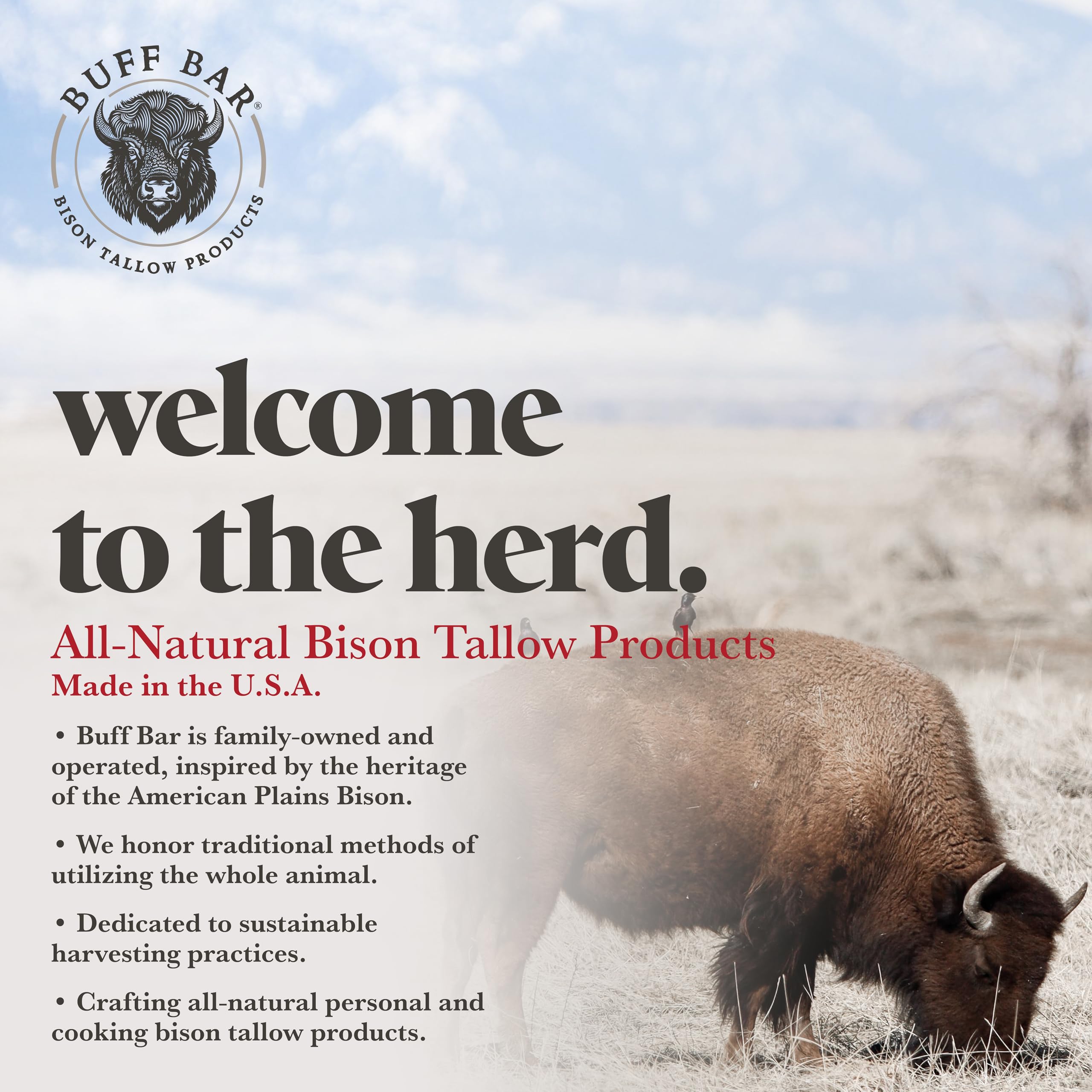 Big Crazy Buffalo Pure Bison Tallow Balm – Mineral Pool Scented Hydrating Body Butter