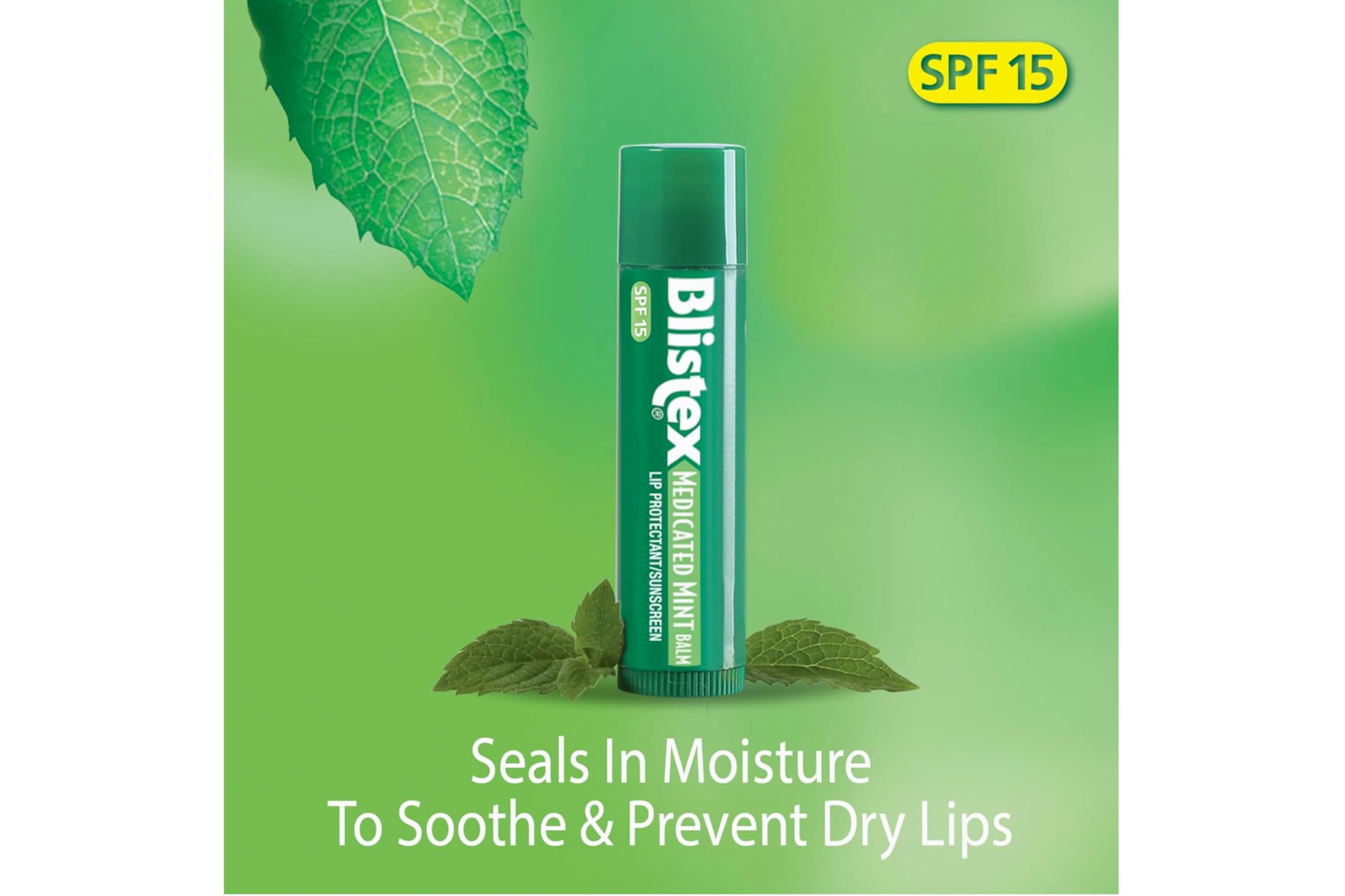 Blistex Medicated Lip Balm SPF 15 Mint – Value Pack (6 x 0.15 oz)