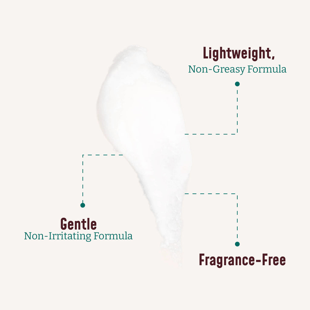 Bloom It's A Great Skin Day! Fragrance-Free Collagen Cream + Aloe Vera & Vitamin E Body & Face Moisturizer – 15 oz