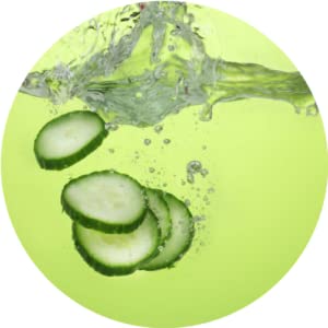 Body Boost Cooling Lotion – Pregnancy Safe, Vegan, Hypoallergenic – Cucumber Mint 6 oz
