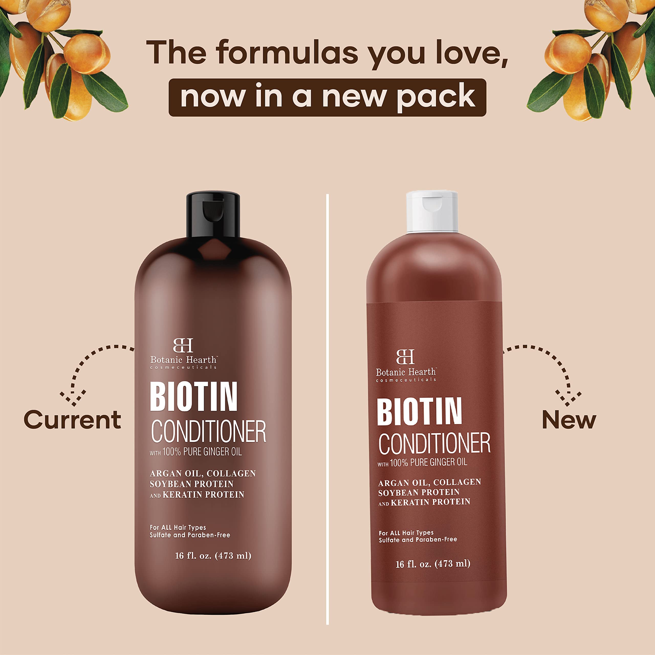 Botanic Hearth Biotin Conditioner With Ginger Oil & Keratin | Hair Growth Support | 16 Fl Oz | Sulfate & Paraben Free