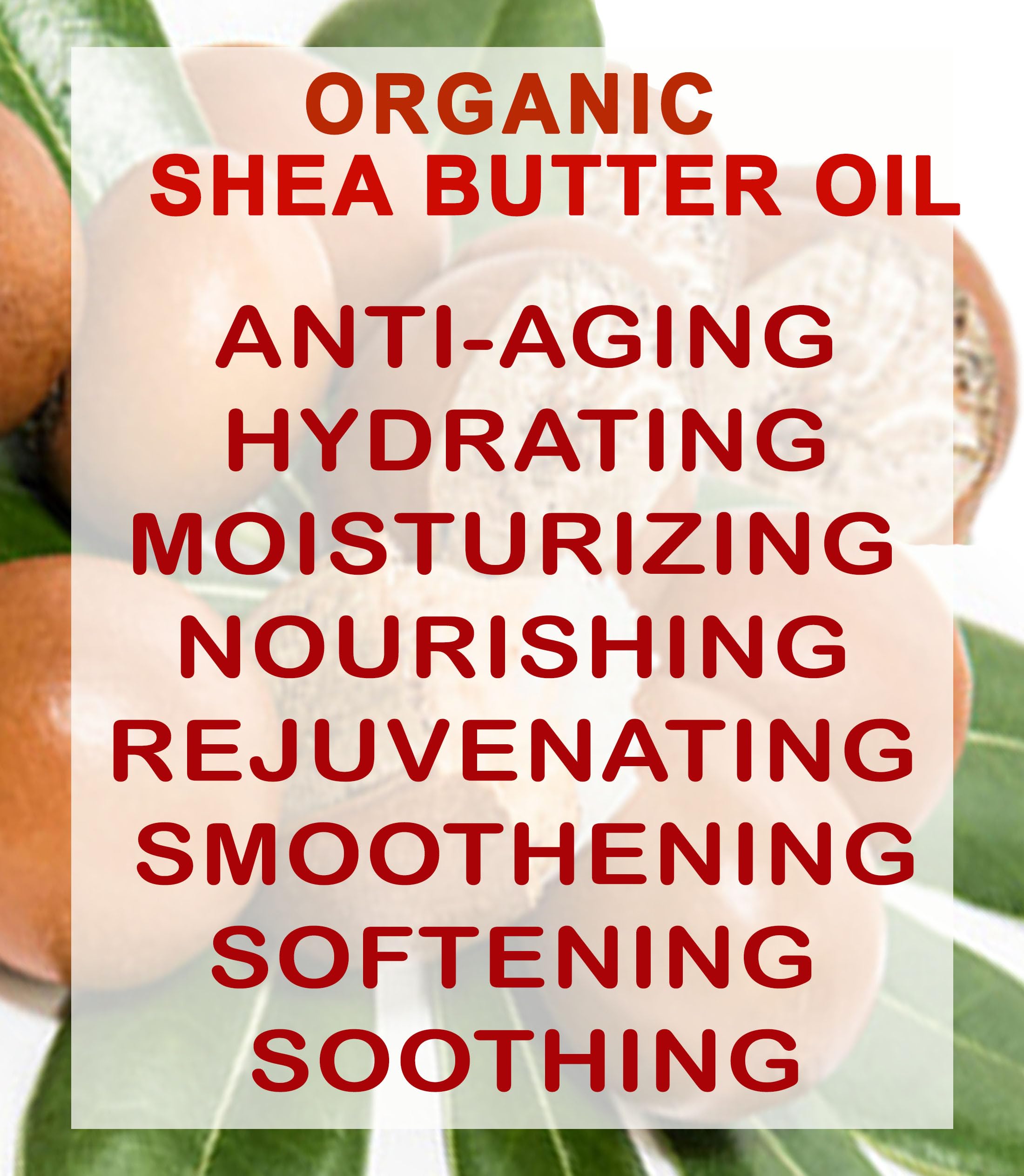 Botanical Beauty Organic Shea Butter Oil – 100% Pure, Cold-Pressed Carrier Oil (2 oz)