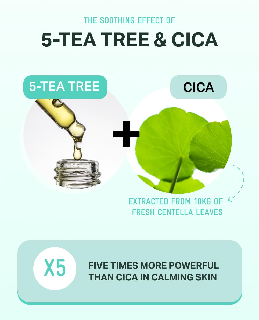 BRING GREEN Tea Tree CICA Toner – Soothing, Hydrating Daily Toner (8.5 fl oz / 250 ml)