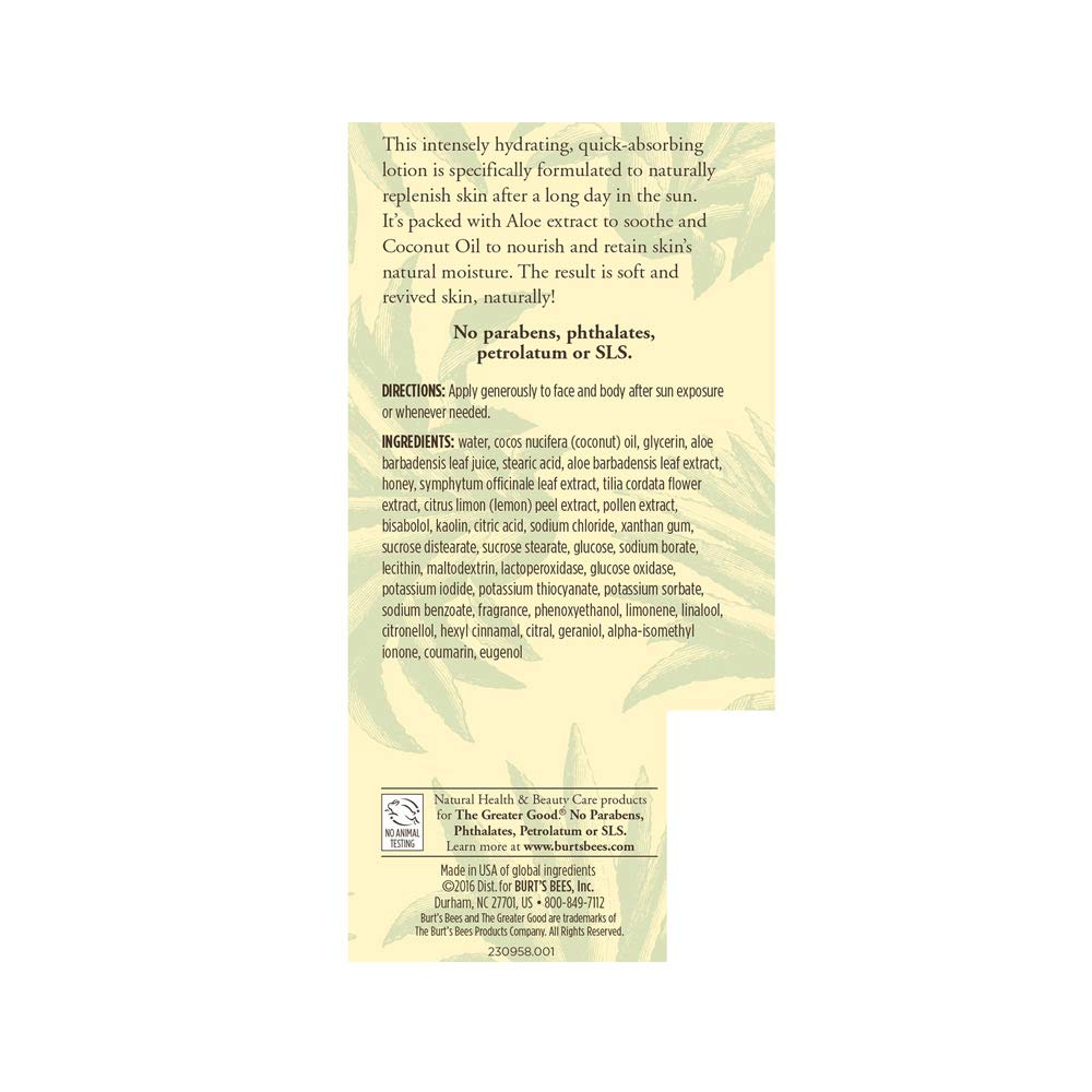 Burt's Bees Aloe After Sun Soother — Quick-Absorbing Hydration, 6 fl oz