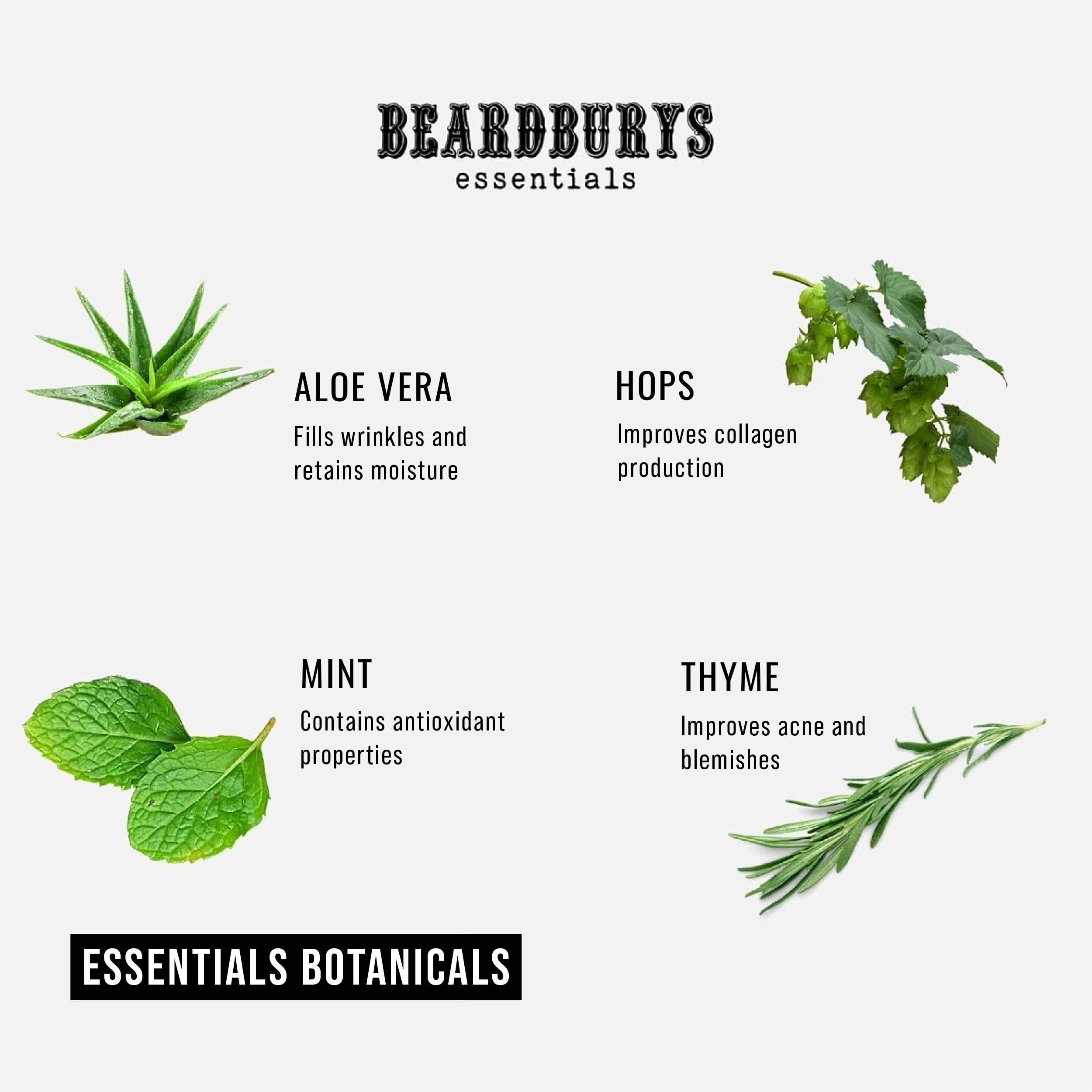 Beardburys Essentials Pure Balance Anti-Dandruff Shampoo – Thyme & Mint, Exfoliating, Vegan, 250 ml