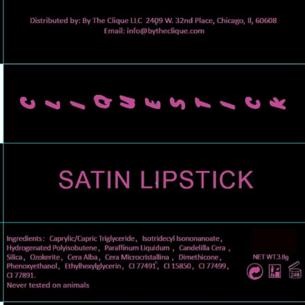 By The Clique Premium Fuchsia Pink Purple Lipstick | All That Jazz