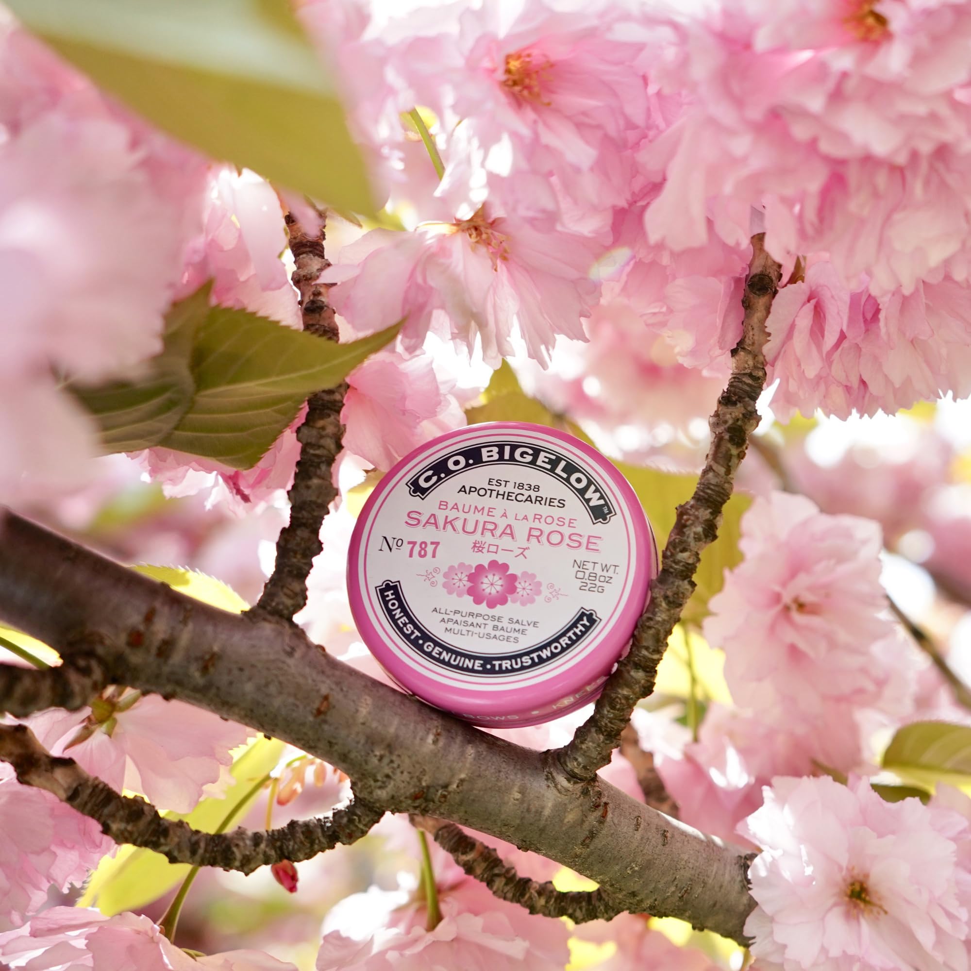 C.O. Bigelow Sakura Rose Salve Tins — 3-Pack Lip & Skin Salve