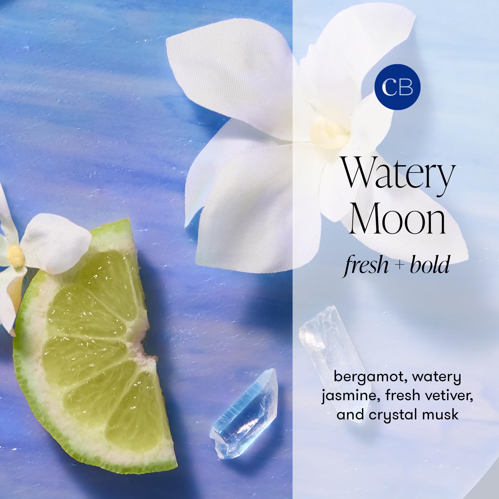Capri Blue Bubble Bath - Watery Moon (16 oz) | Nourishing, Vegan Spa Bubbles