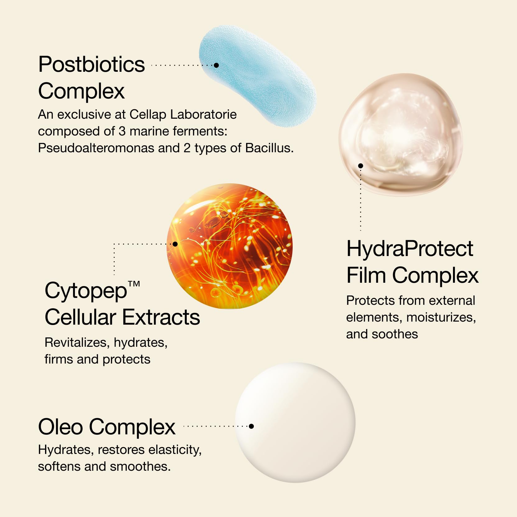Cellcosmet Cellular Eye Contour Cream — Fragrance Free, Firming, Moisturizing & Brightening