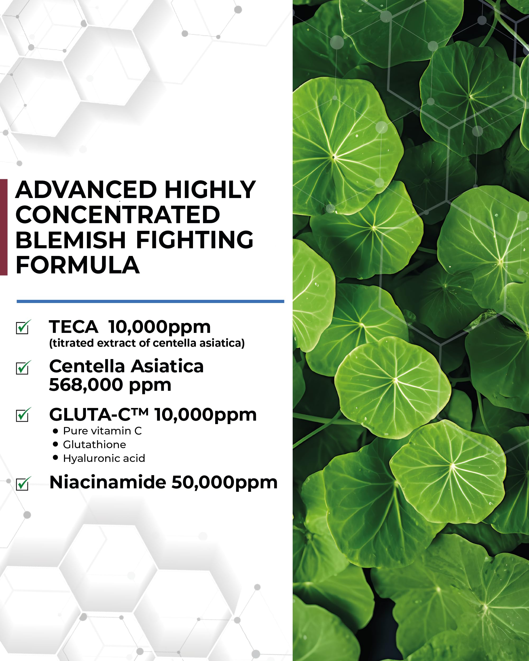 CENTELLIAN 24 Expert Ampoule Season 4 – 3 × 0.5fl oz TECA Centella Serum for Dark Spots