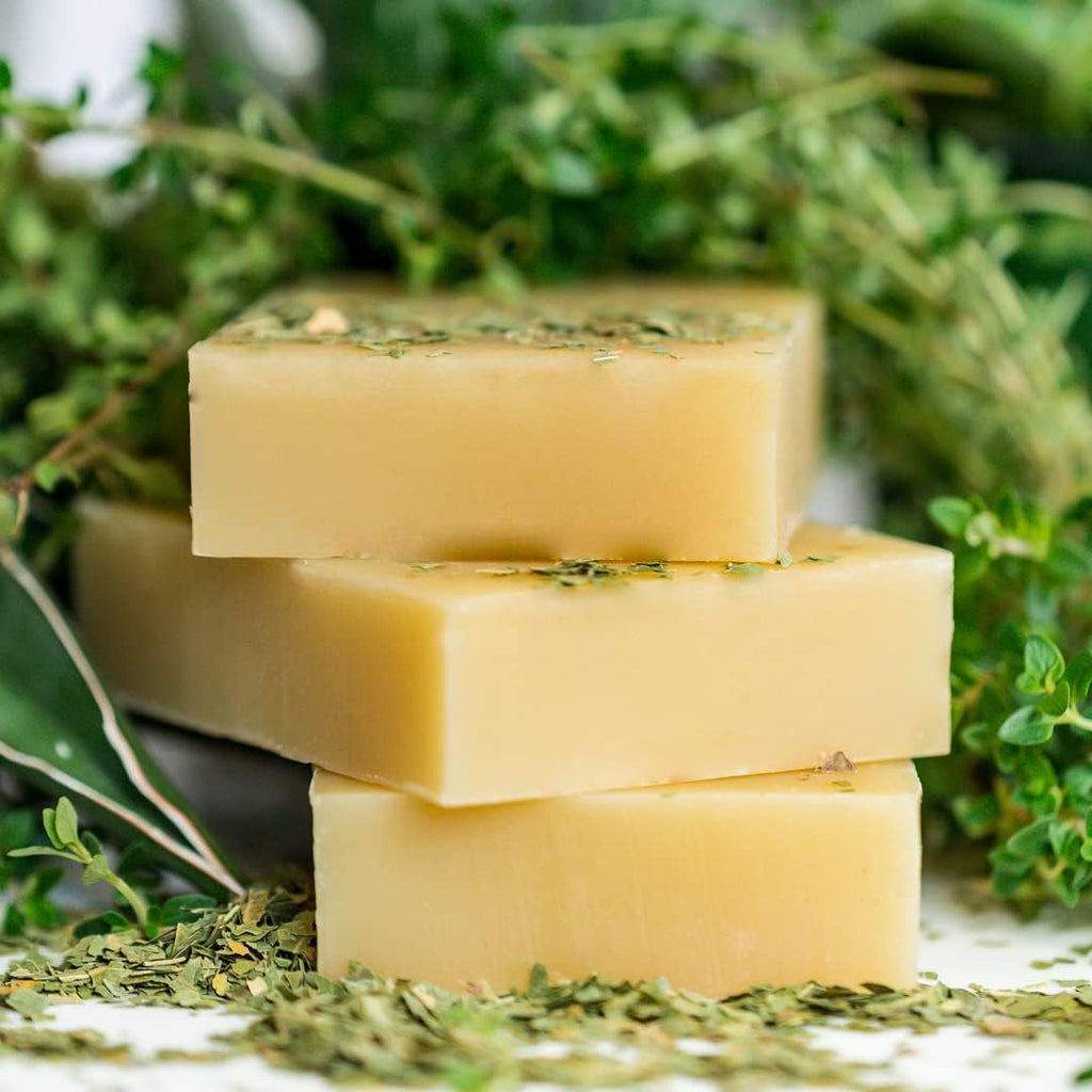 Chagrin Valley Neem and Tea Tree Soap & Shampoo Bar – 5.6 oz, 3-Pack, Sulfate Free, Vegan