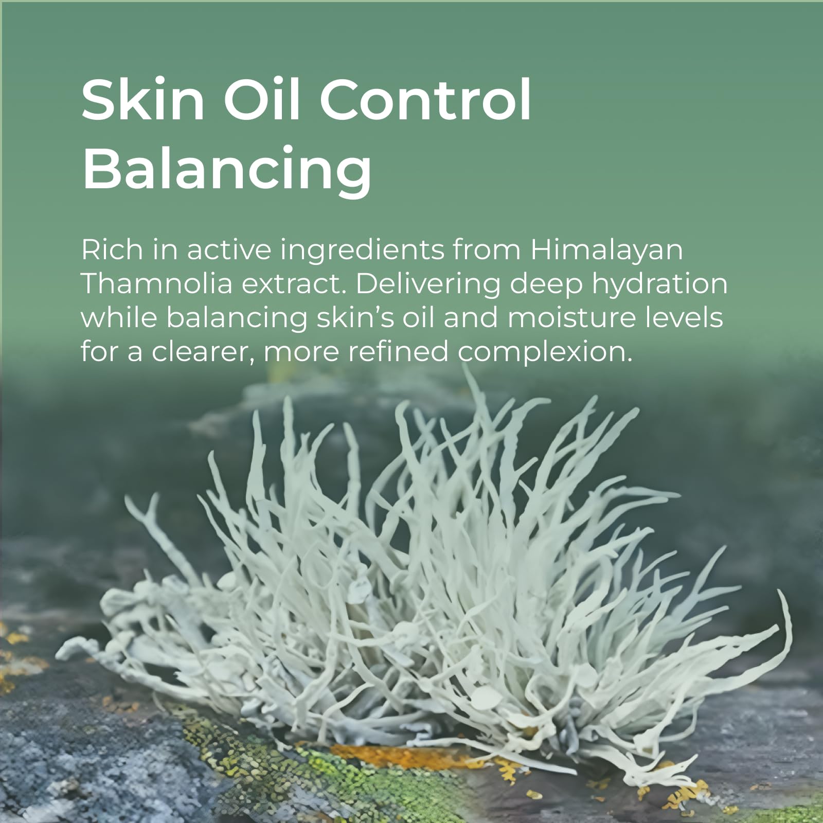 CHANDO HIMALAYA Thamnolia Fresh Hydration Mask – 26ml x5, All Skin Types, Paraben-Free, Alcohol-Free
