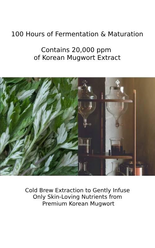 CHARMZONE Mugwort Cream The Original 1.69oz – Deep Hydration & Soothing Moisturizer