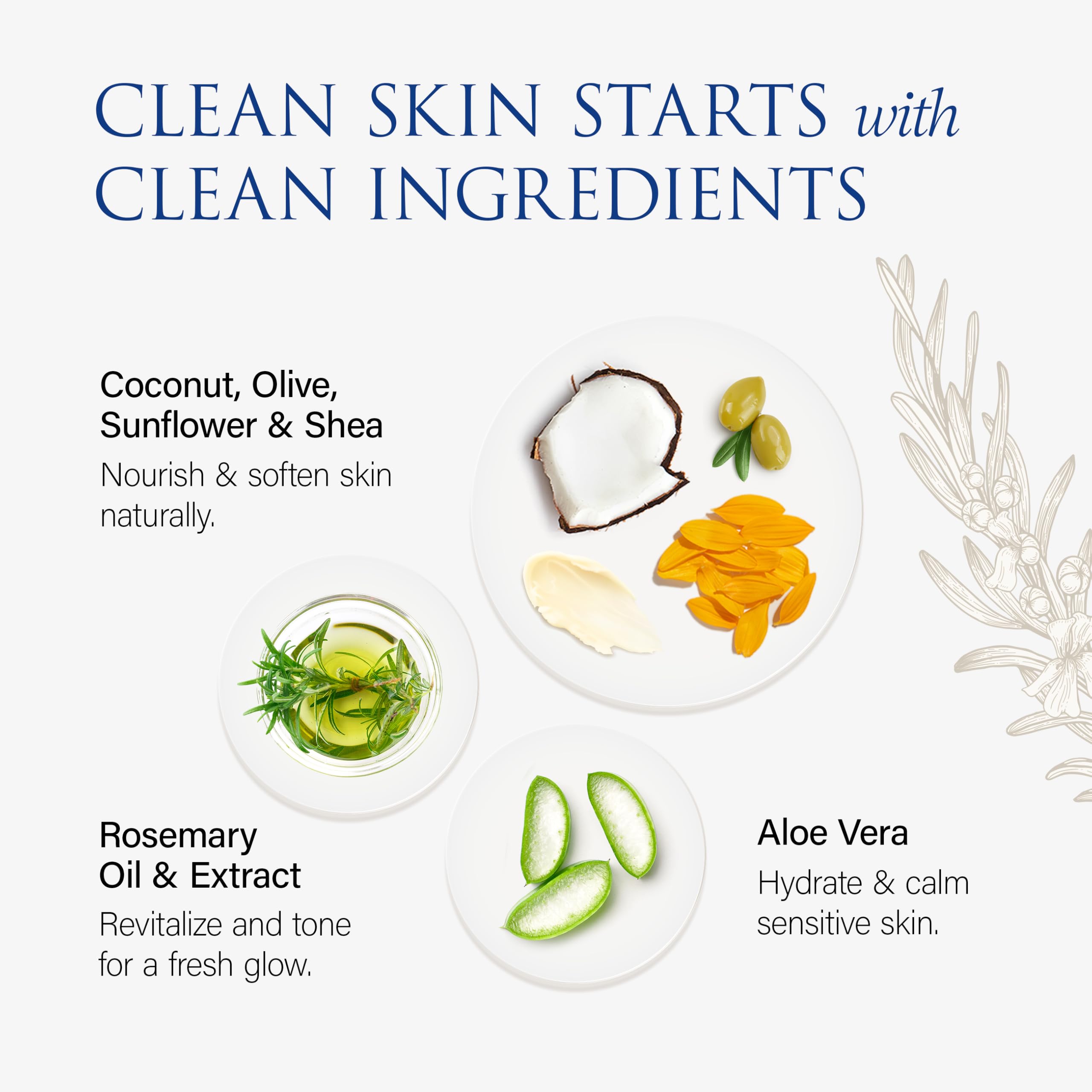 Christina Moss Naturals Face Wash – Gentle, All Skin Types, Organic, Fragrance-Free, 4 oz