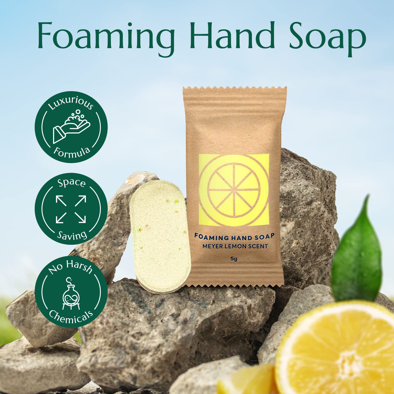 CLEANOMIC Foaming Hand Soap Tablets (6 Pack) – Meyer Lemon Refill