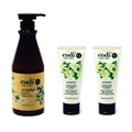 CODi Jasmine Lotion – Non-Greasy, Quick-Absorb Hand & Body Lotion (750ml + 2x100ml Tubes)