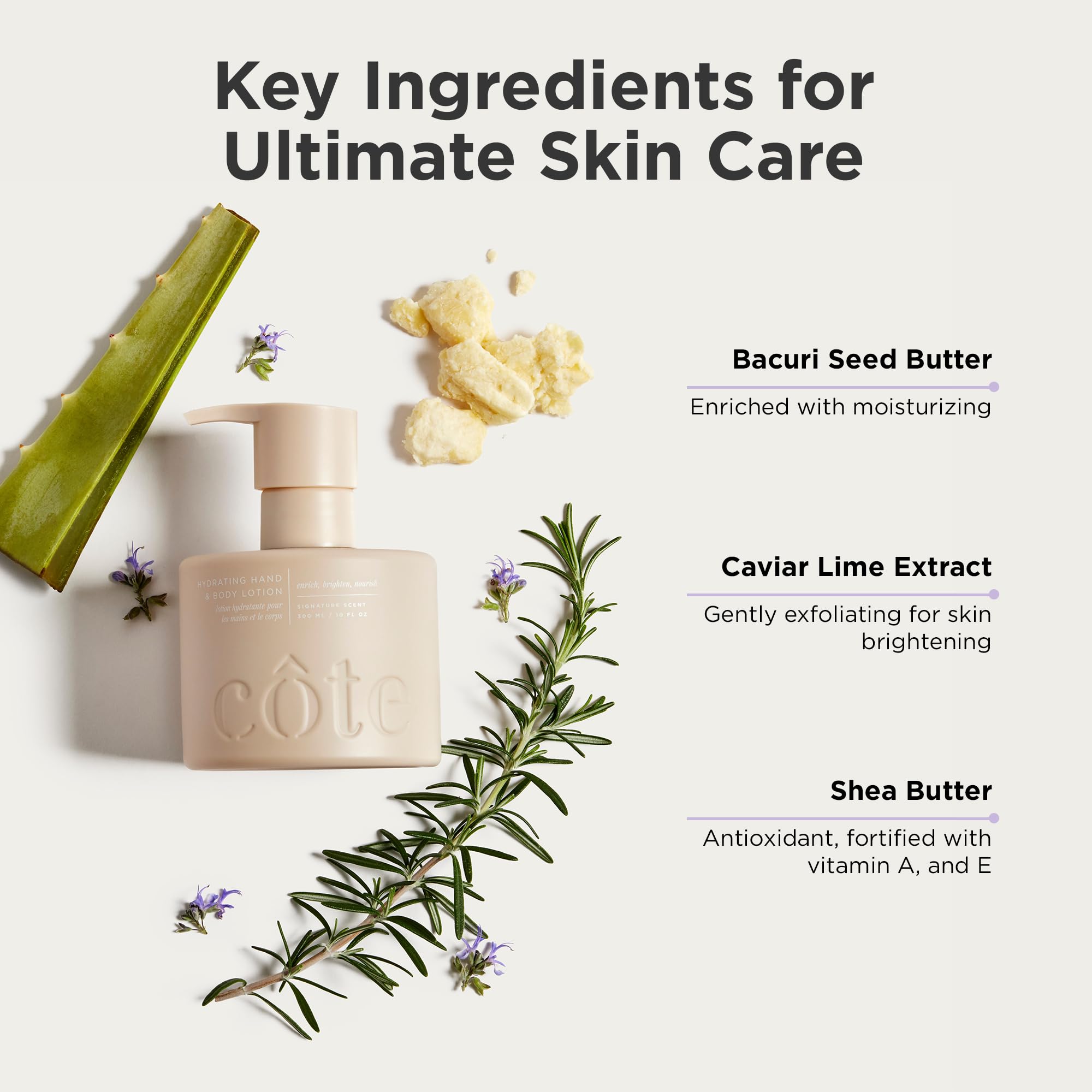 Cote Hydrating Hand & Body Lotion — Shea Butter Moisturizer