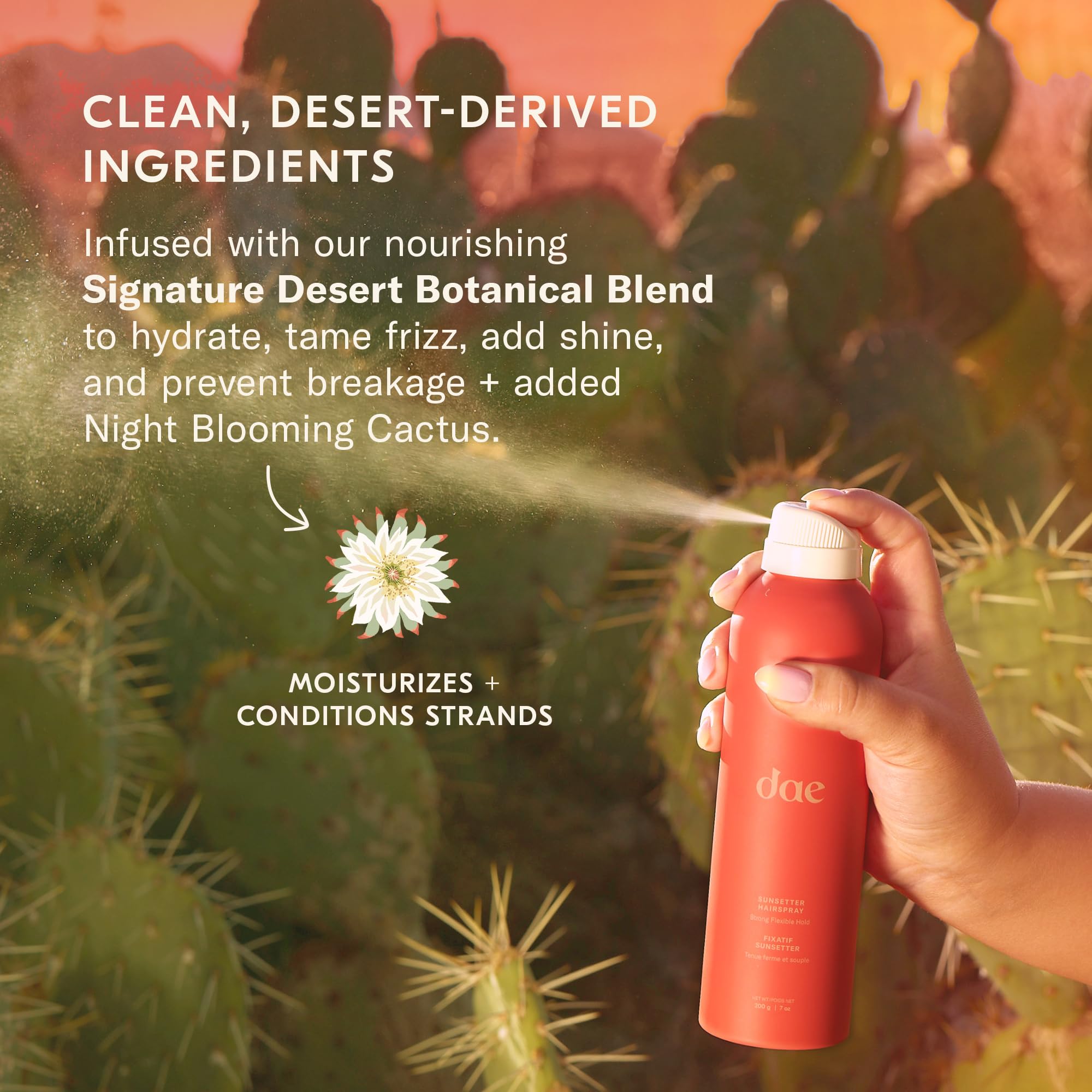 DAE Sunsetter Strong Hold Hairspray – Citrus Scent, All-Day Brushable (7 oz)