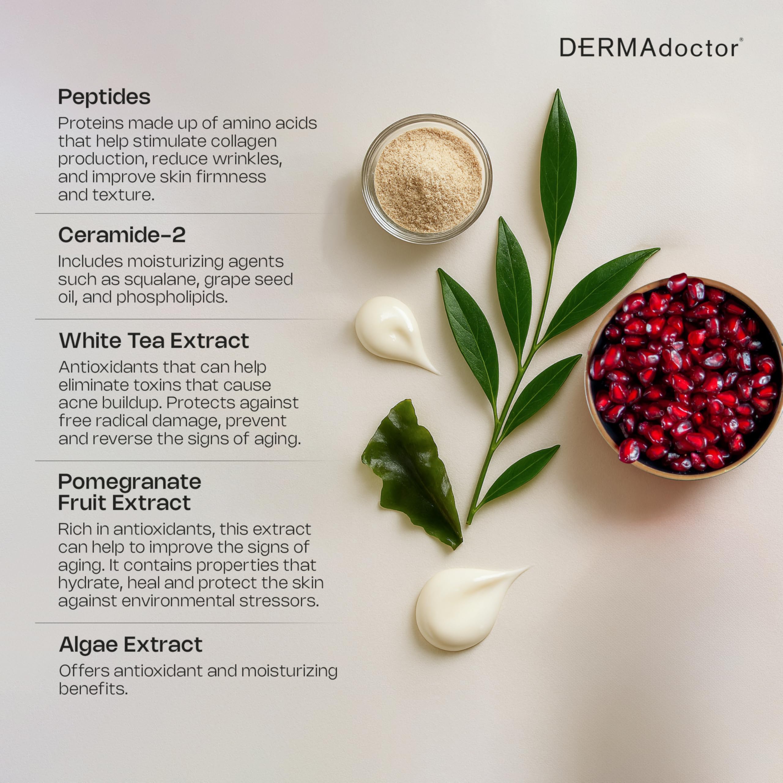 DERMAdoctor Face Cream – Anti-Aging Peptide Moisturizer with Ceramide & Squalane (1.7 oz)