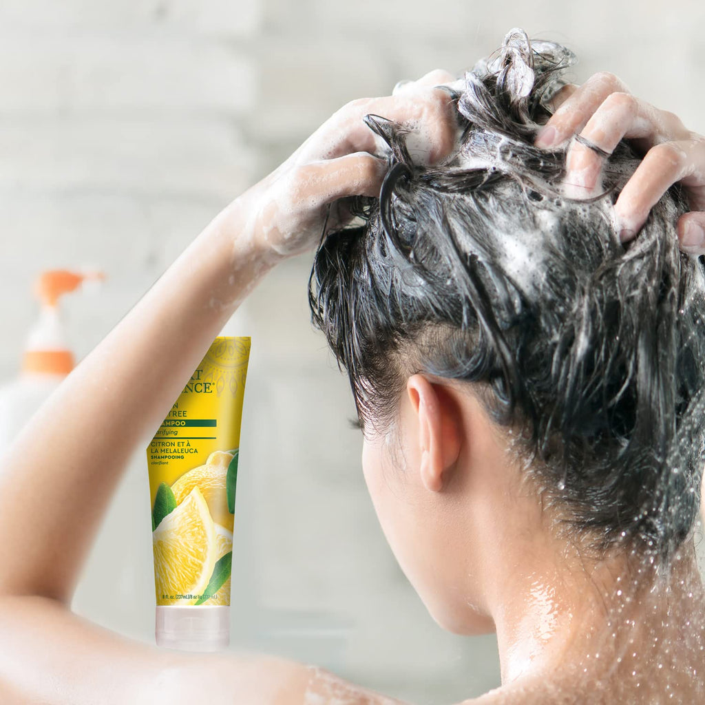 Desert Essence Lemon Tea Tree Shampoo – Oil Control, Scalp Revitalization & Hair Strength (8 fl oz)