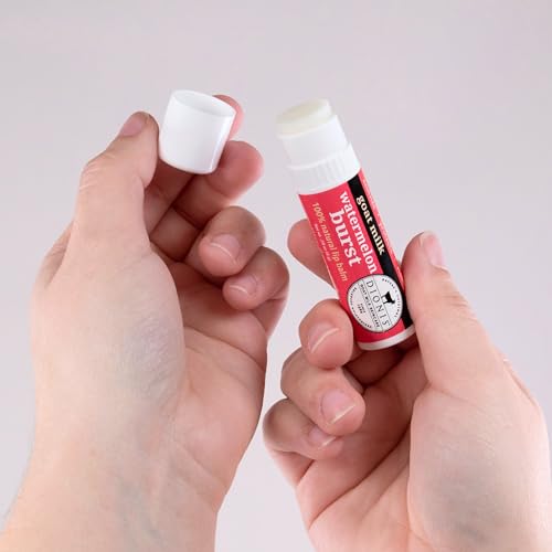 Dionis Watermelon Holiday Lip Balm Gift Set — Goat Milk Skincare, 3 x 0.28 oz, USA Made