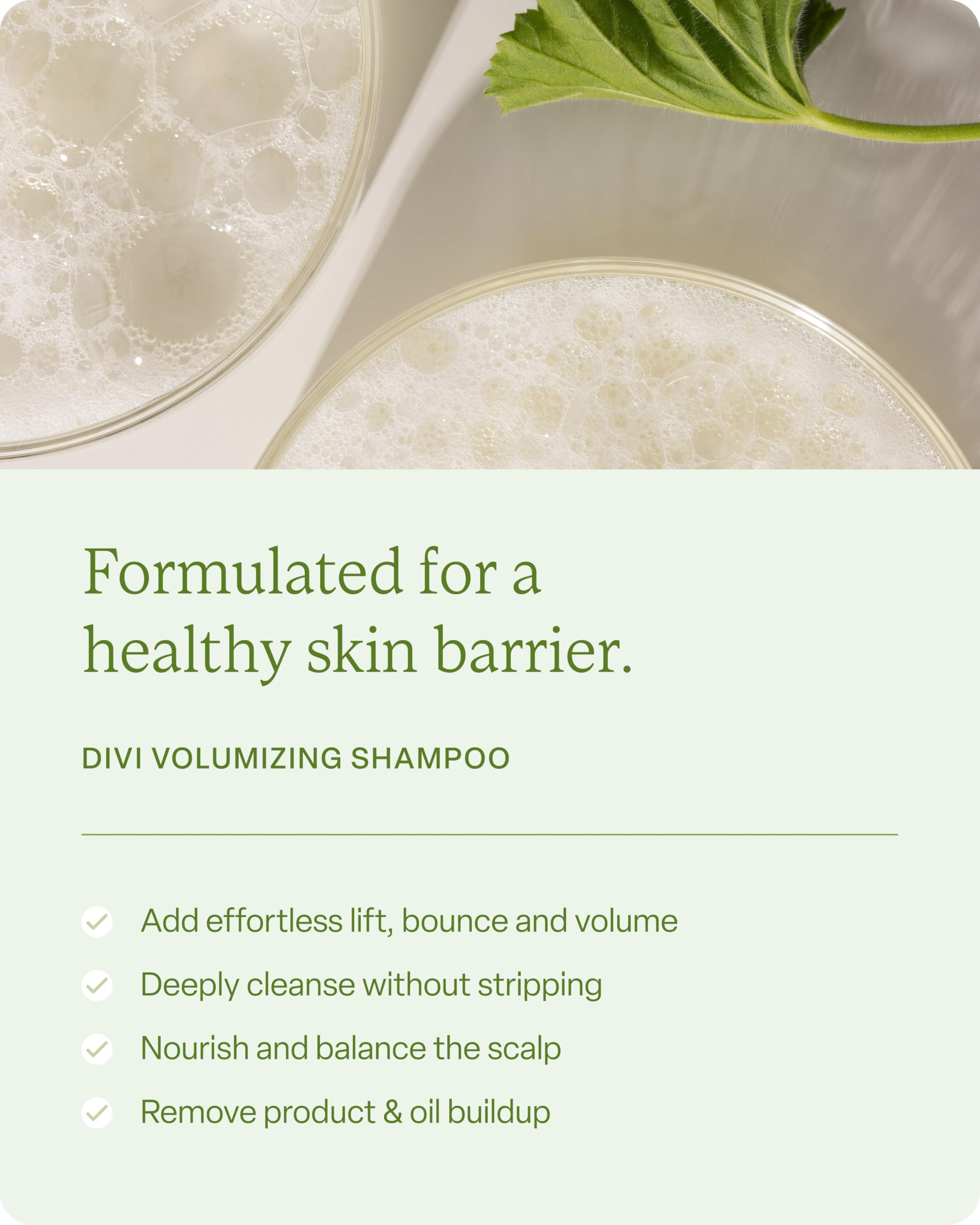 Divi Healthy Hair Goals Bundle | Volumizing Shampoo, Conditioner & Scalp Serum