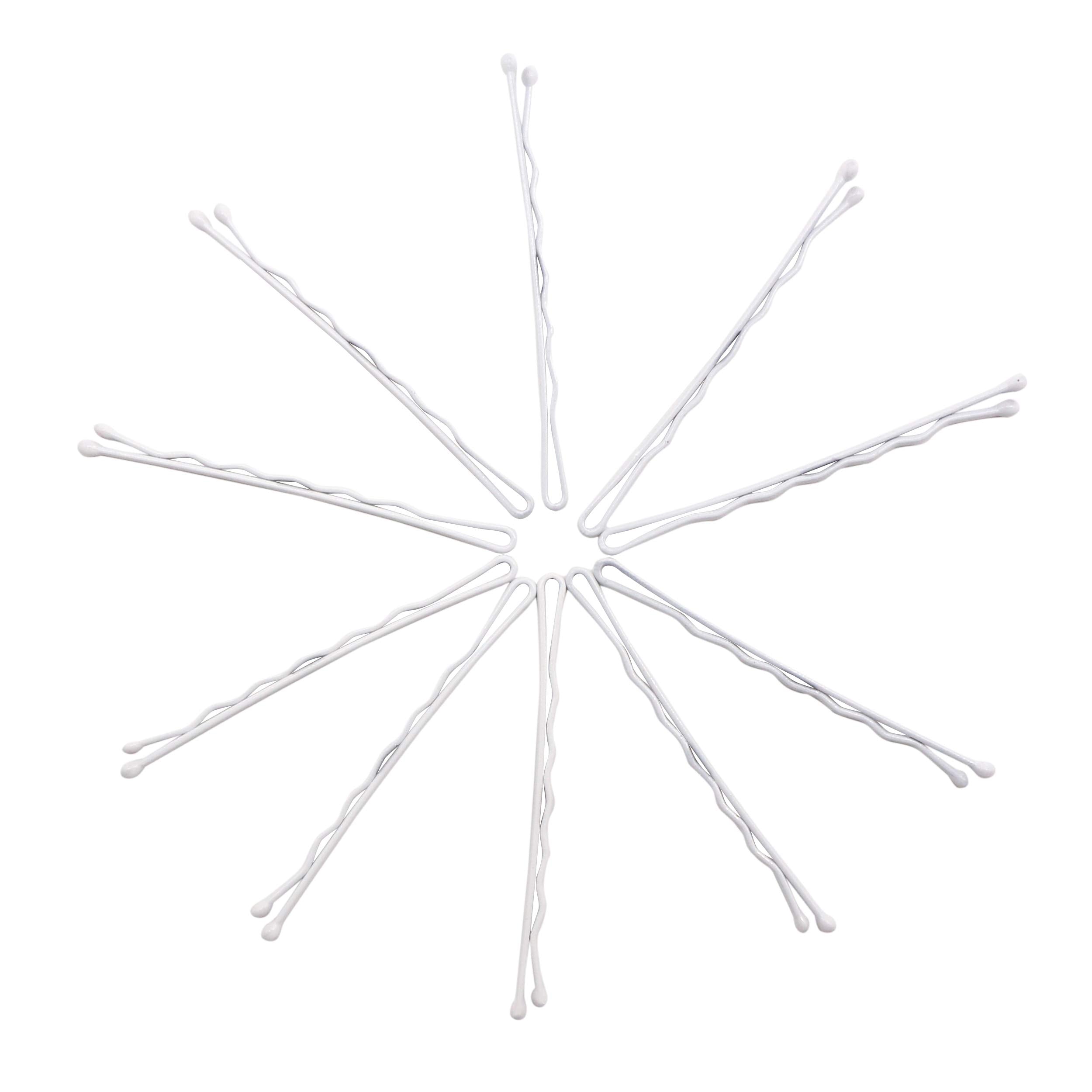 Dofash 5Waves Silver Bobby Pins – 260 Count, Octagon Storage Box