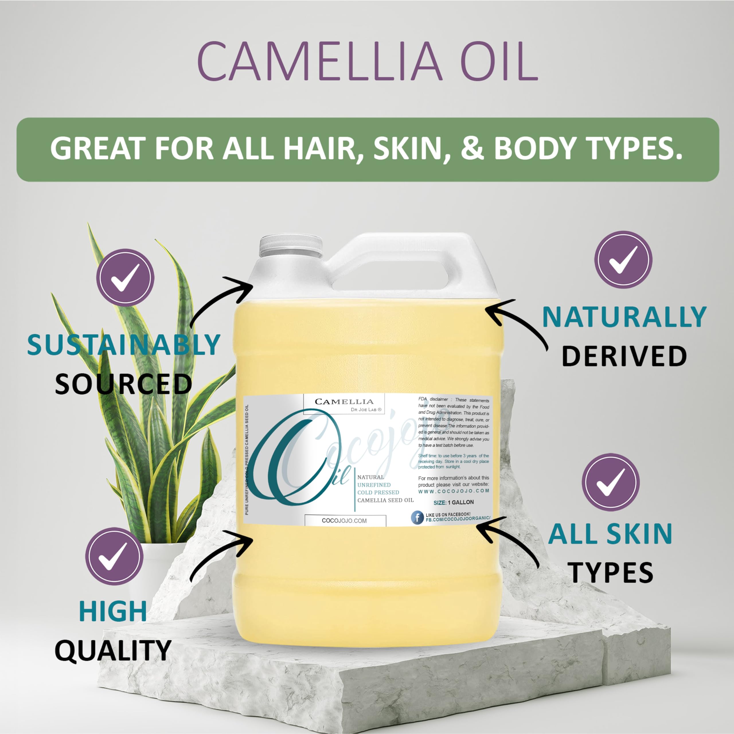 Dr Joe Lab Camellia Seed Oil 128 oz – Pure Cold-Pressed Camellia Seed Oil for Hair, Skin, Nails & Beard