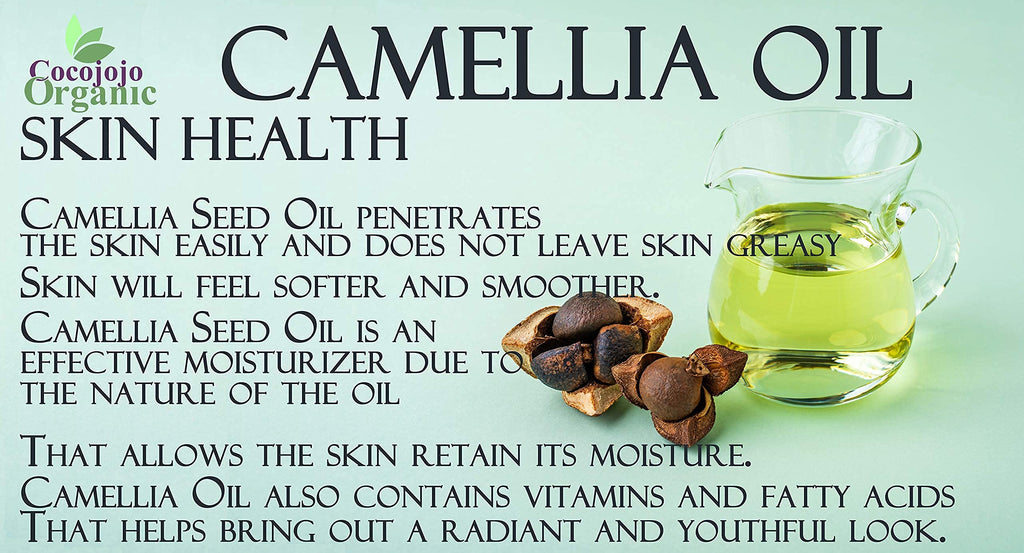 Dr Joe Lab Japanese Camellia Seed Oil – Pure Cold-Pressed, Non-GMO Carrier Oil 32 oz