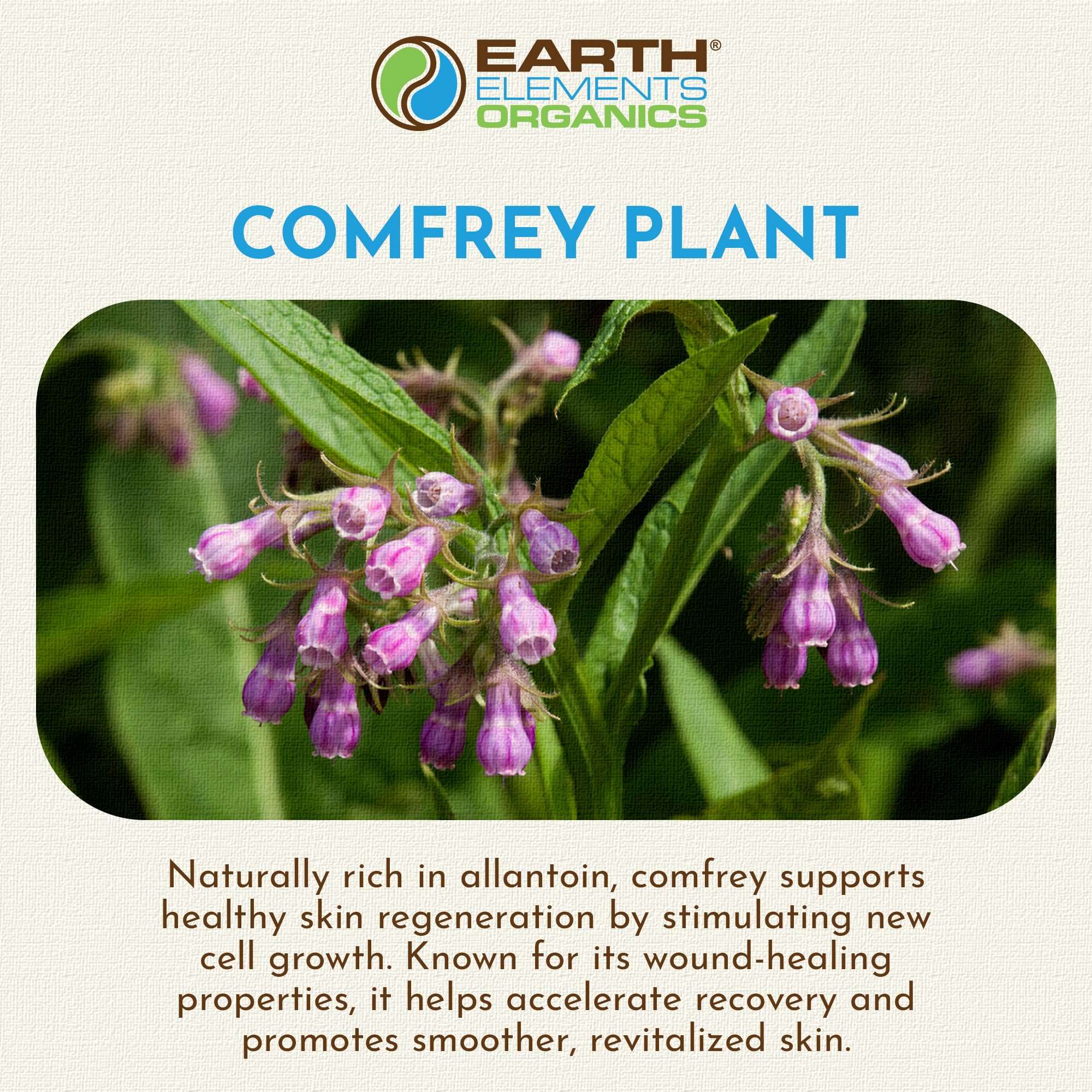 Earth Elements Organics Comfrey Oil – Organic Herbal Skincare, Sunflower Oil, 4 fl oz