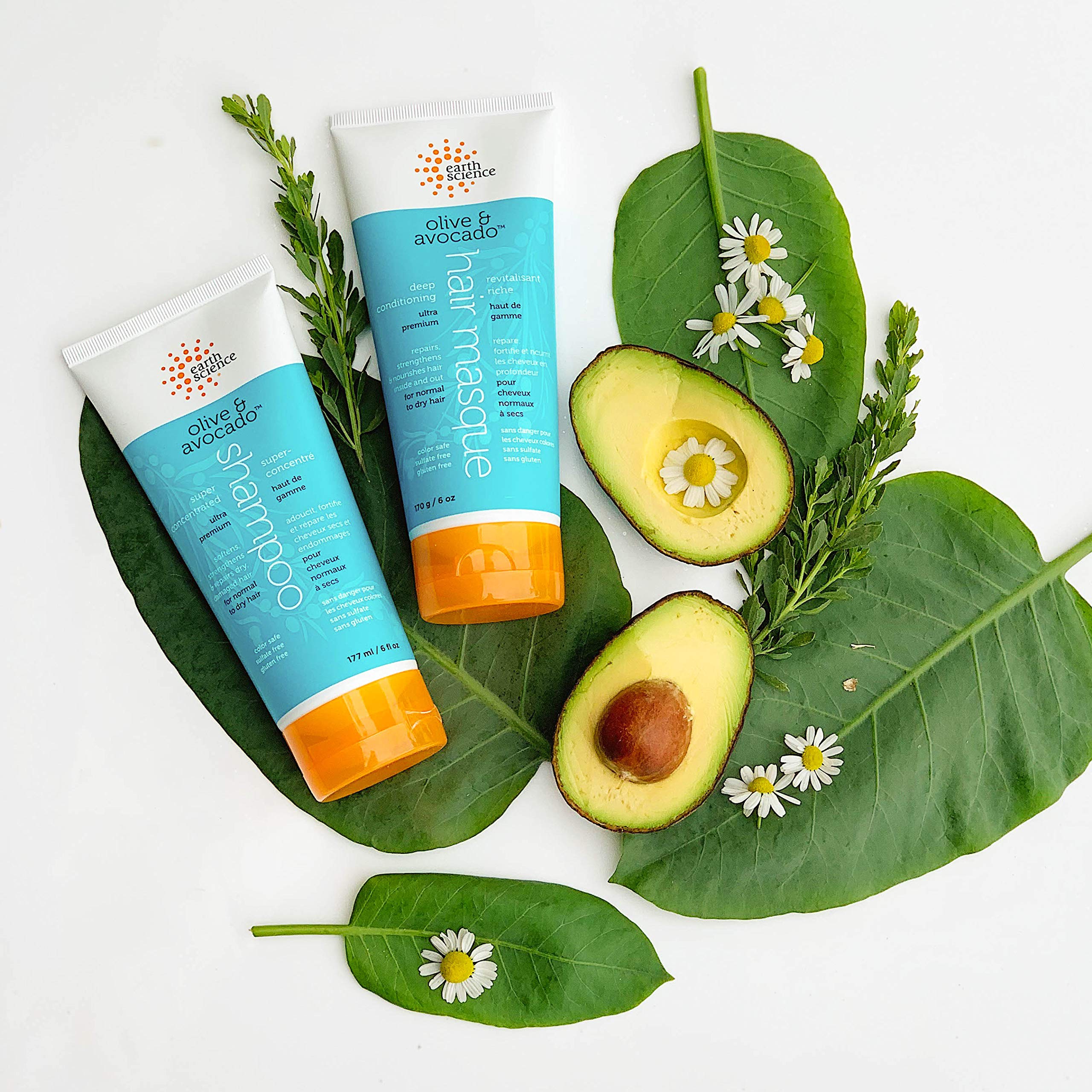 Earth Science Olive & Avocado Deep Conditioning Hair Masque – Normal to Dry Hair (6 pk, 6 oz.)