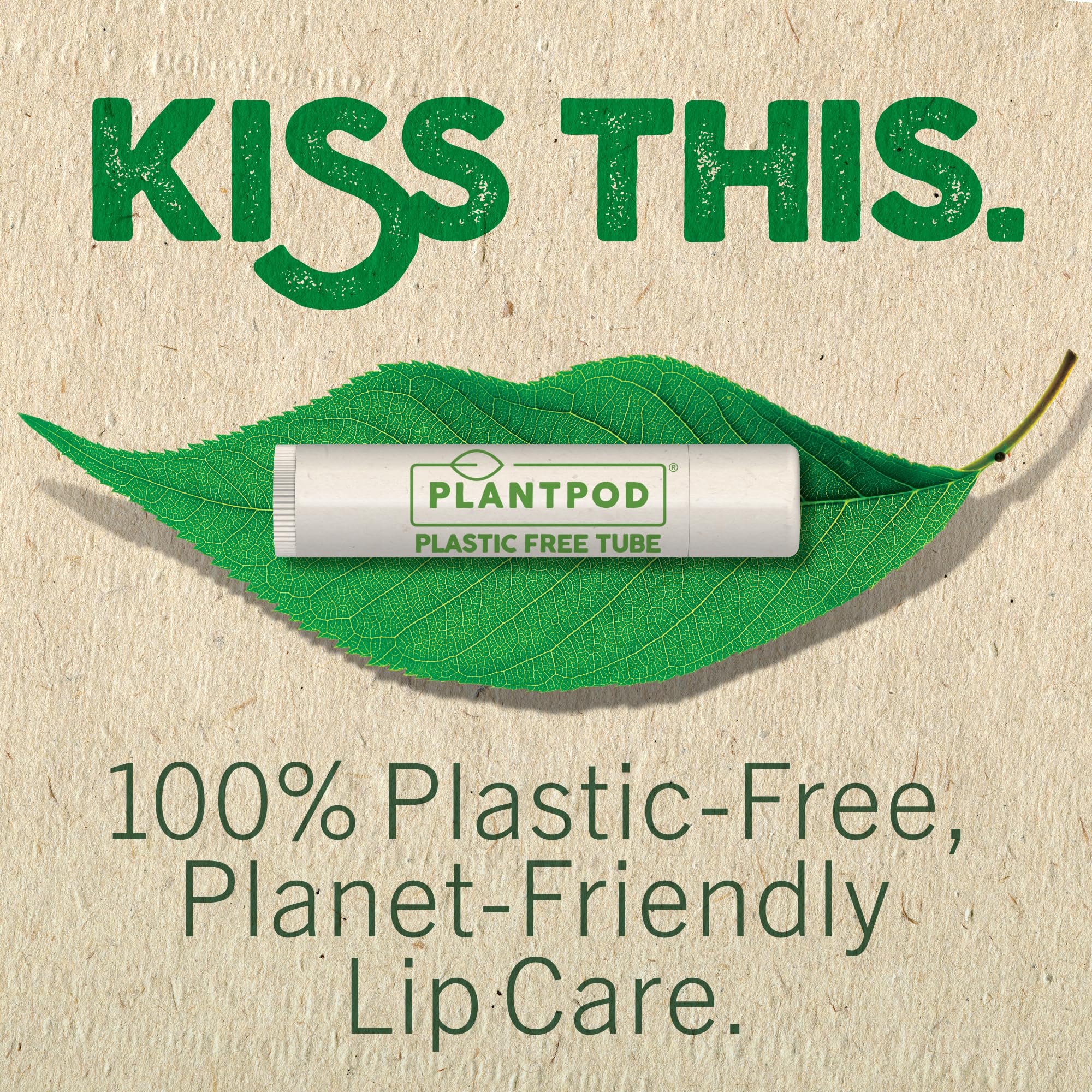 Eco Lips Lemon Lime Lip Balm 3 Pack – Bee Free with Candelilla Wax, Cocoa Butter & Coconut Oil | Plastic-Free Plant Pod Packaging | Made in USA