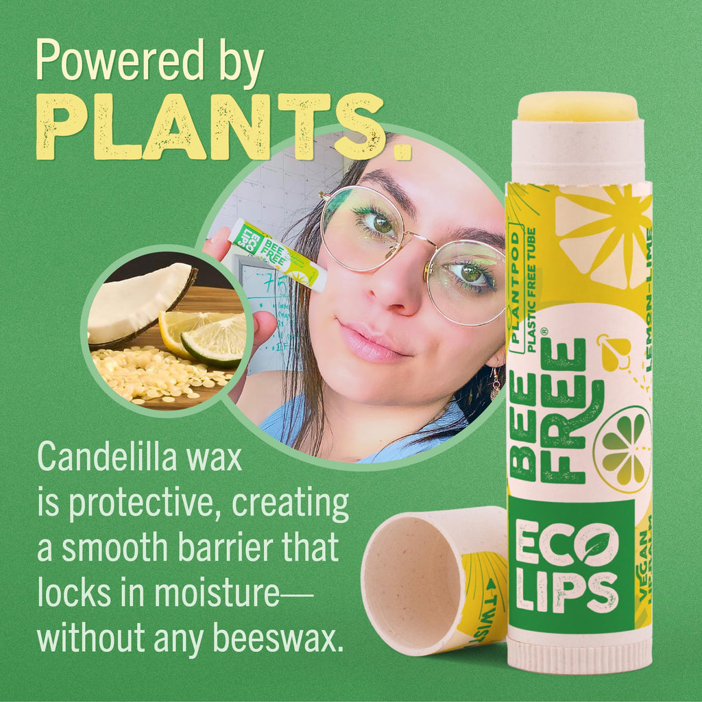 Eco Lips Vegan Lip Balm Sweet Mint – 3 Pack | Plastic-Free Plant Pod, Made in USA