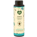 ecoLove - Natural Shampoo for All Hair Types | SLS-Free, Vegan & Cruelty-Free | Moroccan Oil Extract | 17.6 oz