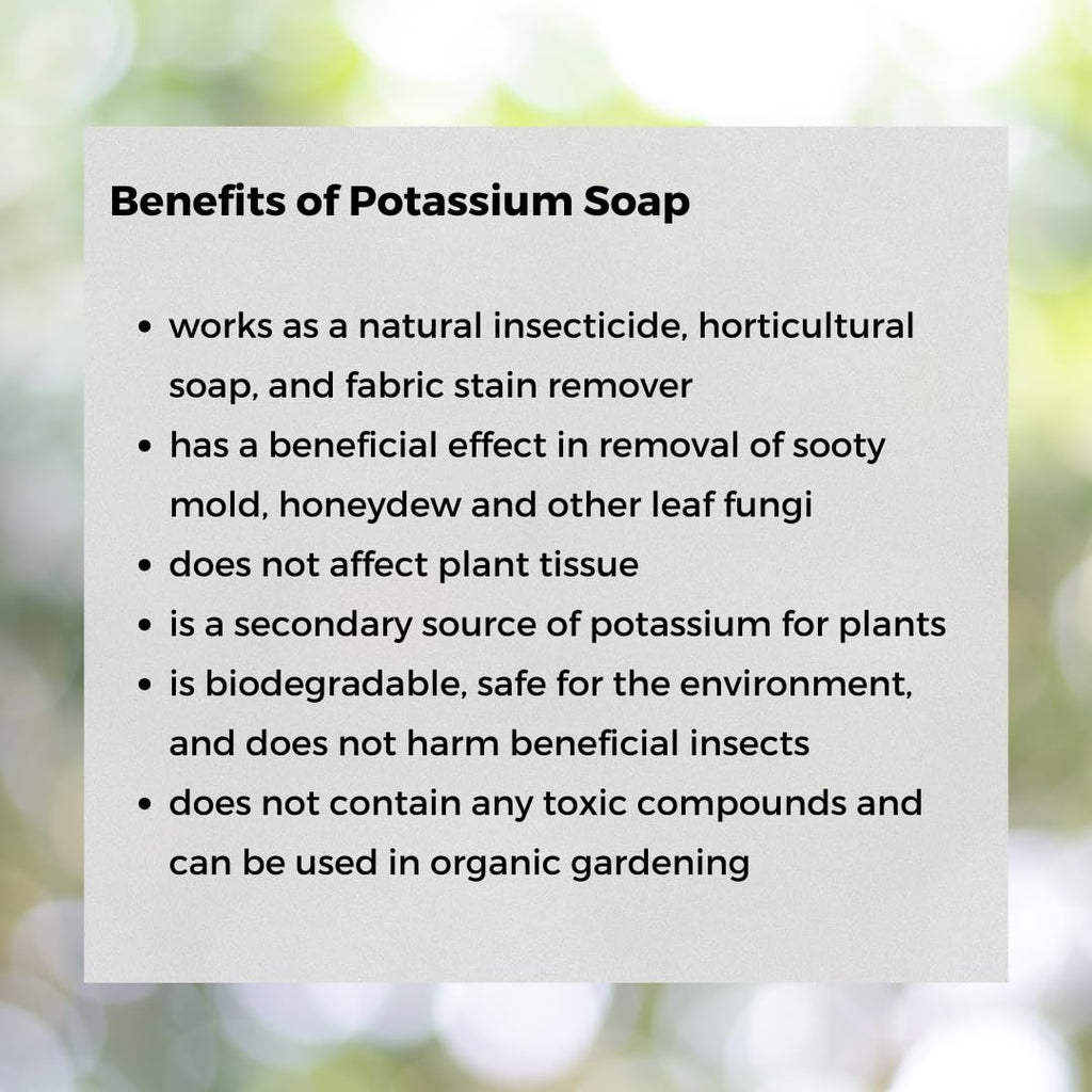 Ecoworm Organic Potassium Soap Concentrate – Plant-Based Horticultural Formula | Dilutable Soap for Plants & Garden Care (34 fl oz)