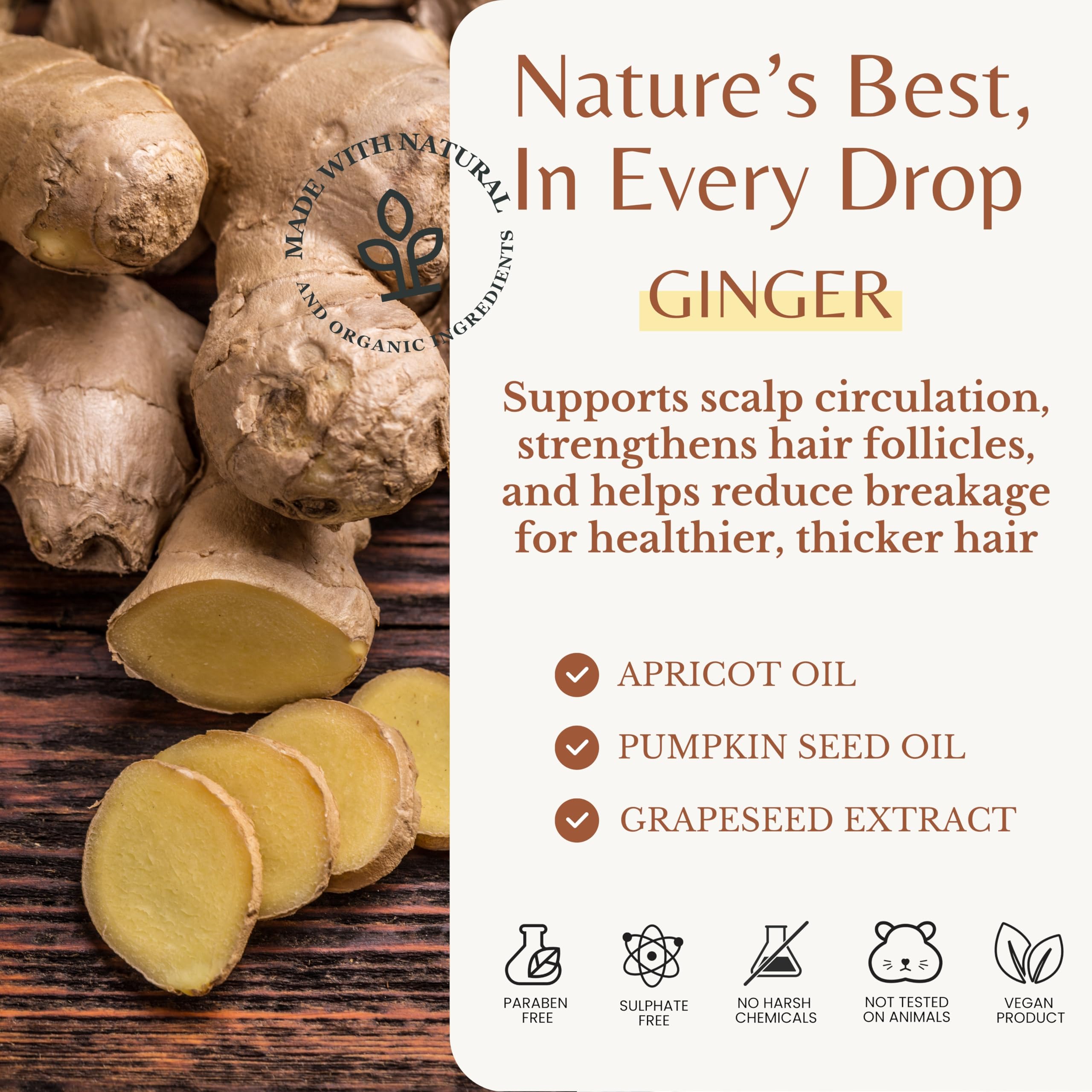 Edenika Botanicals Ginger Root Shampoo with Biotin – Fortifying, Nourishing, Paraben-Free, 16 oz