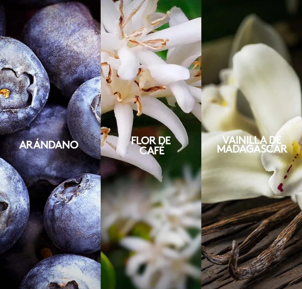 ESIKA Vibranza Parfum 45 ml | Sweet Oriental Fragrance with Vanilla Orchid & Coffee Flower
