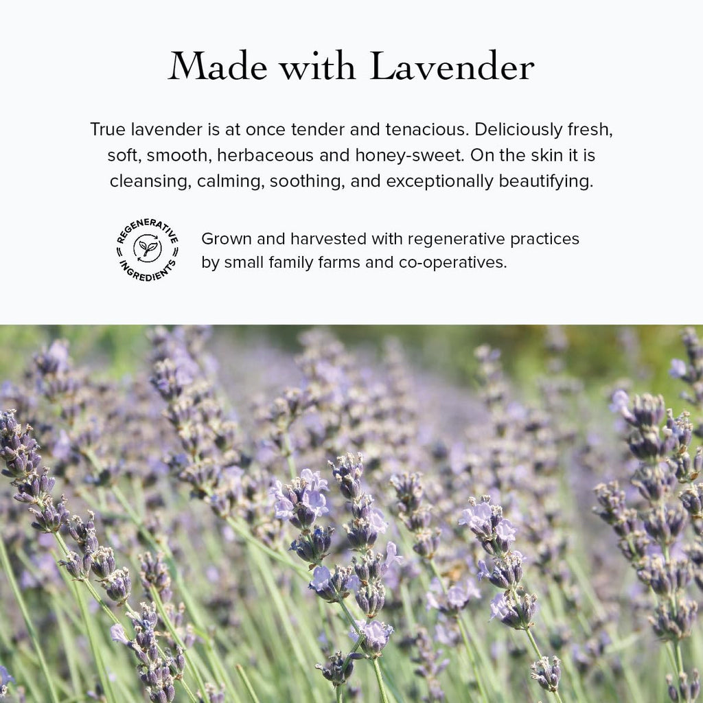 evanhealy Whipped Moroccan Argan Butter – Organic Shea, Argan Oil & Lavender for Dehydrated Skin