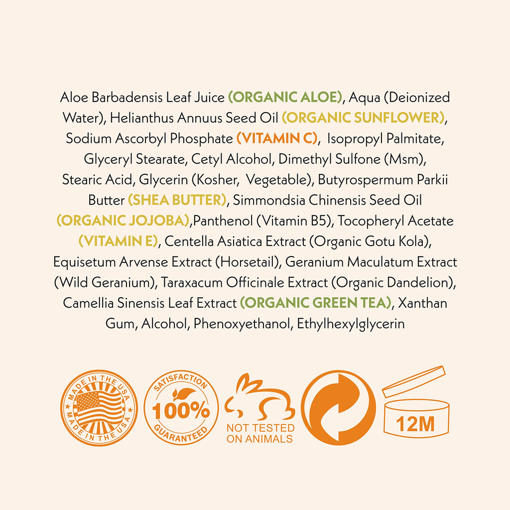 Eve Hansen Vitamin C Face Moisturizer – Lightweight Hydration with Green Tea & Jojoba Oil